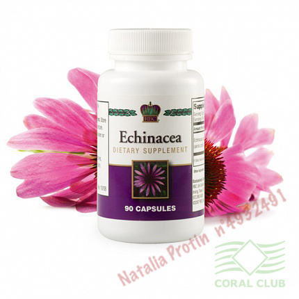 «Эхинацея - Echinacea»